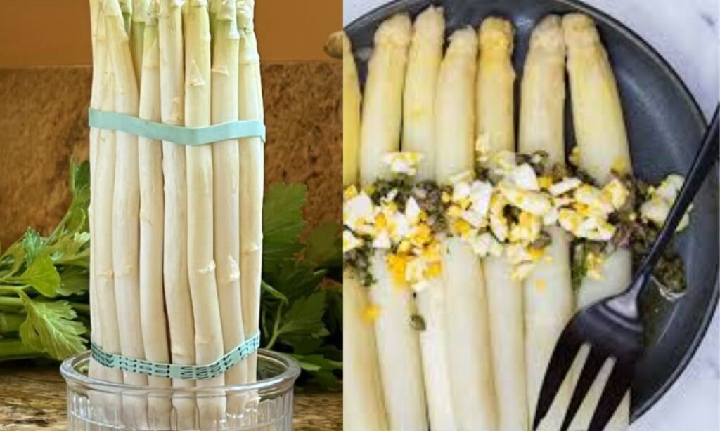 White Asparagus