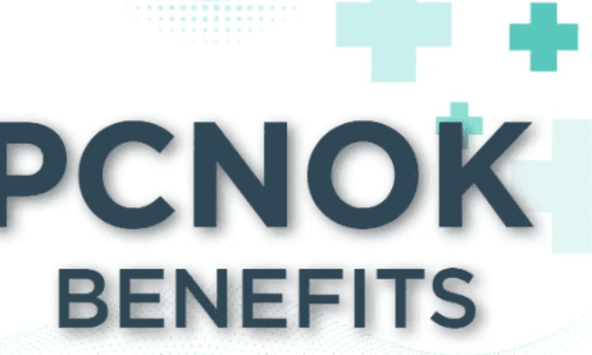 What is PCNOK? A Glimpse into its Role in Healthcare You Need to Know!