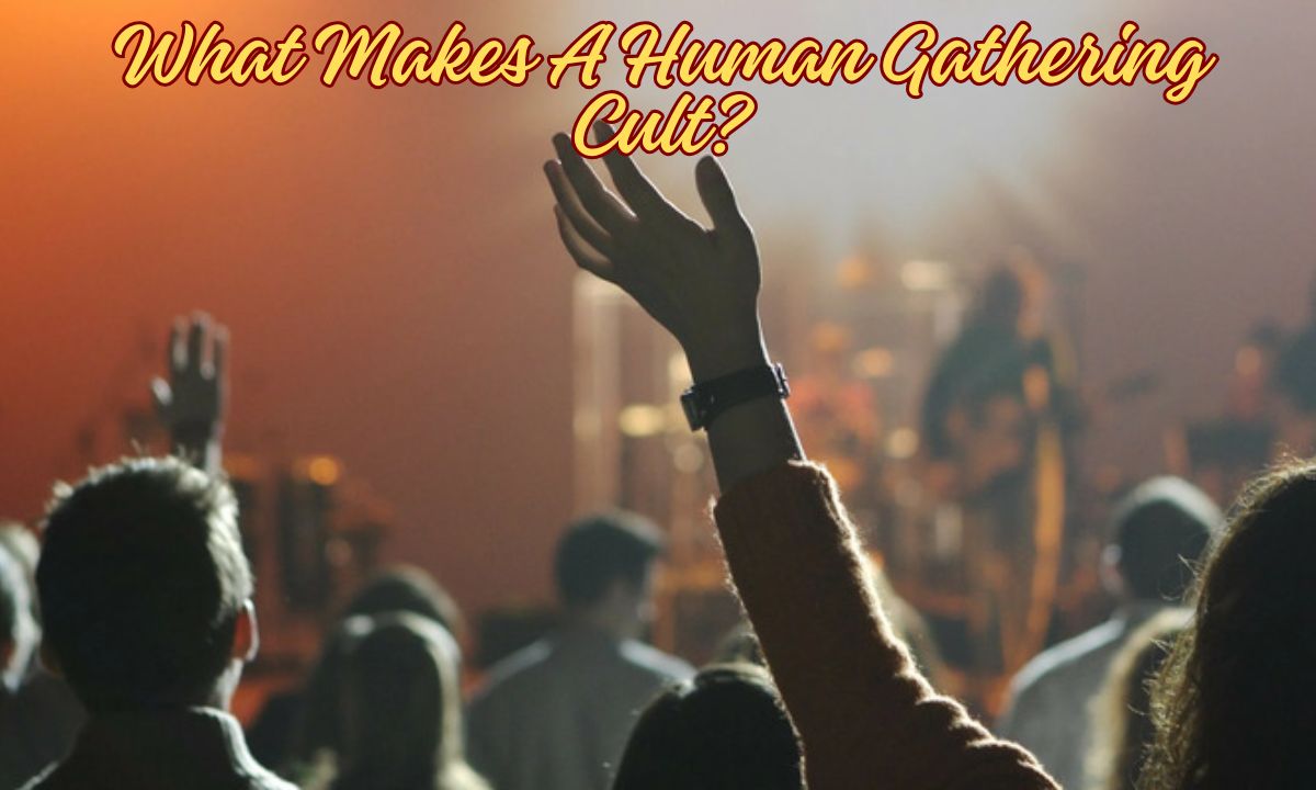 What Makes A Human Gathering Cult?