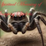 The Spiritual Meaning of Jumping Spiders: An In-Depth Guide