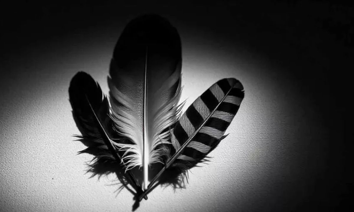 The Spiritual Significance of Black and Grey Feathers