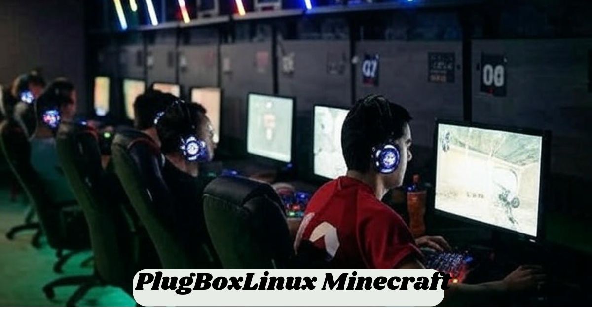 PlugBoxLinux Minecraft