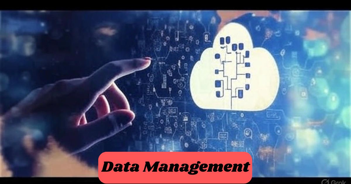 Data Management Data Management